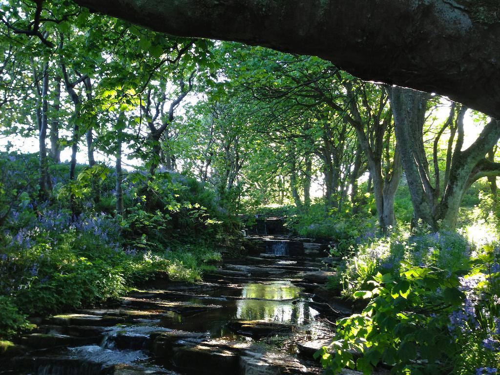 Woodwick House Bed & Breakfast Orkney Eksteriør bilde