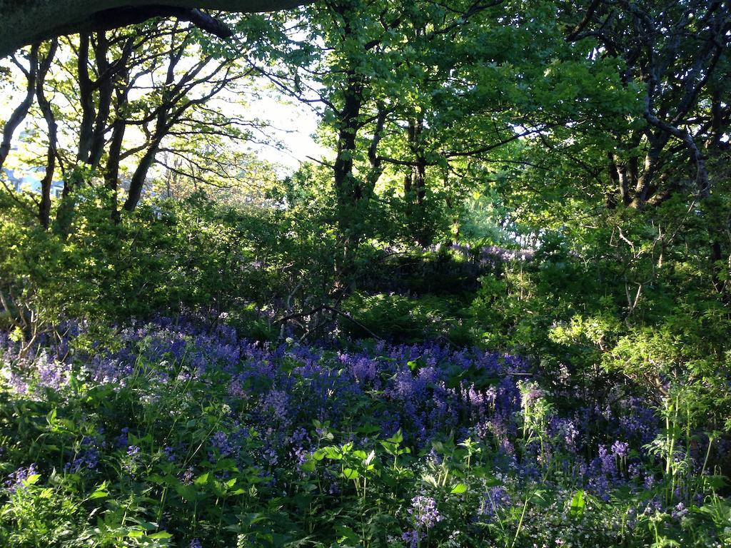 Woodwick House Bed & Breakfast Orkney Eksteriør bilde