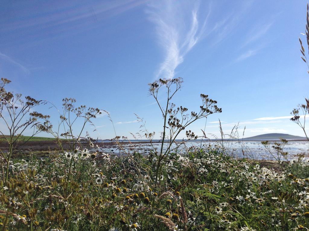 Woodwick House Bed & Breakfast Orkney Eksteriør bilde